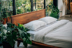 BED - SO 003