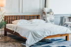 BED - SO 005