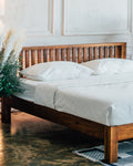 BED - SO 005