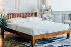 BED - SO 005