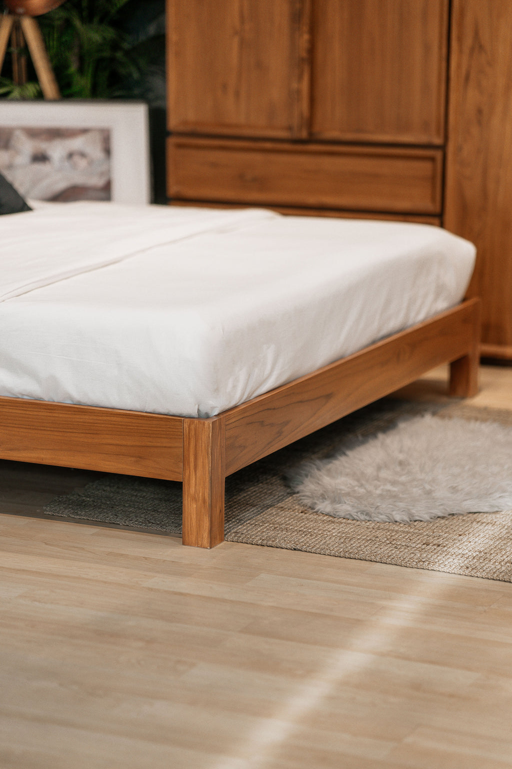 BED - SO 008