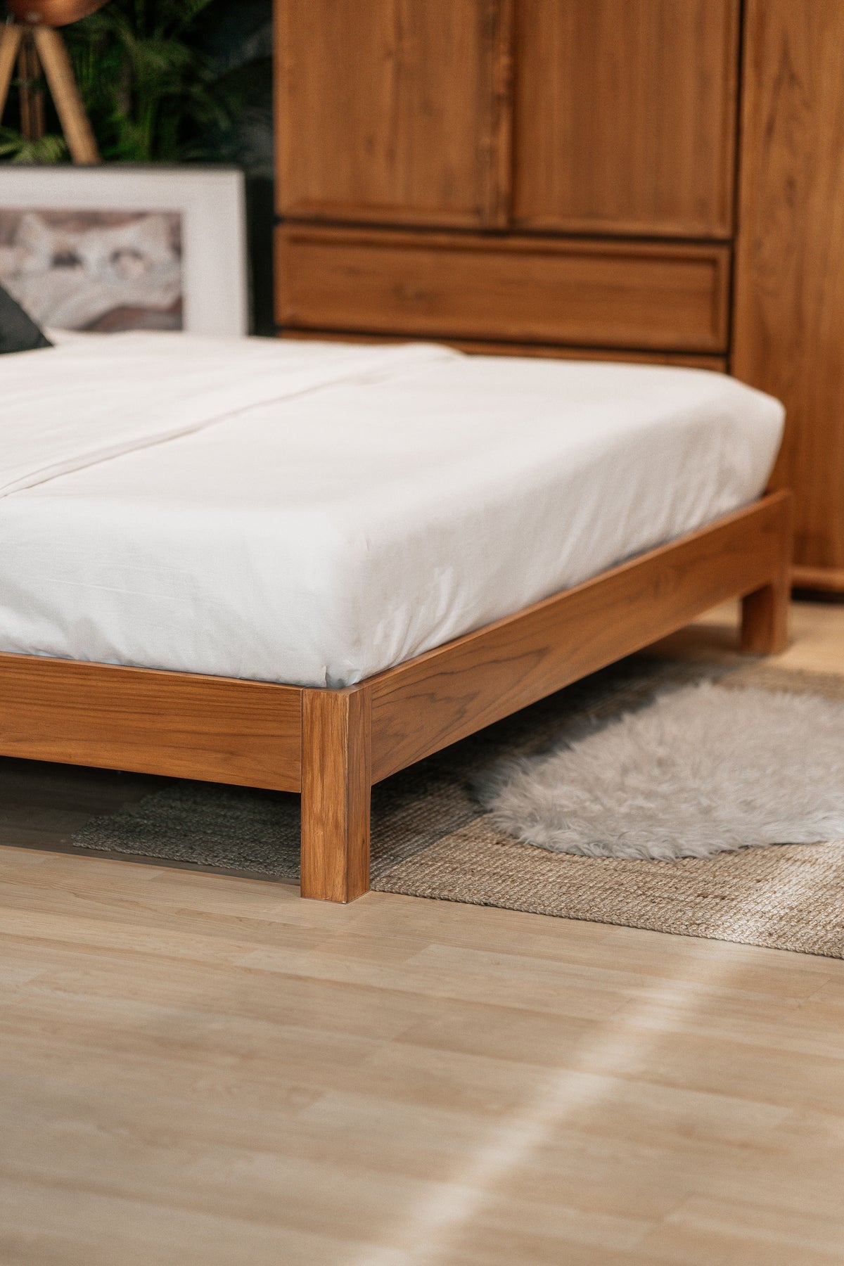 BED - SO 008