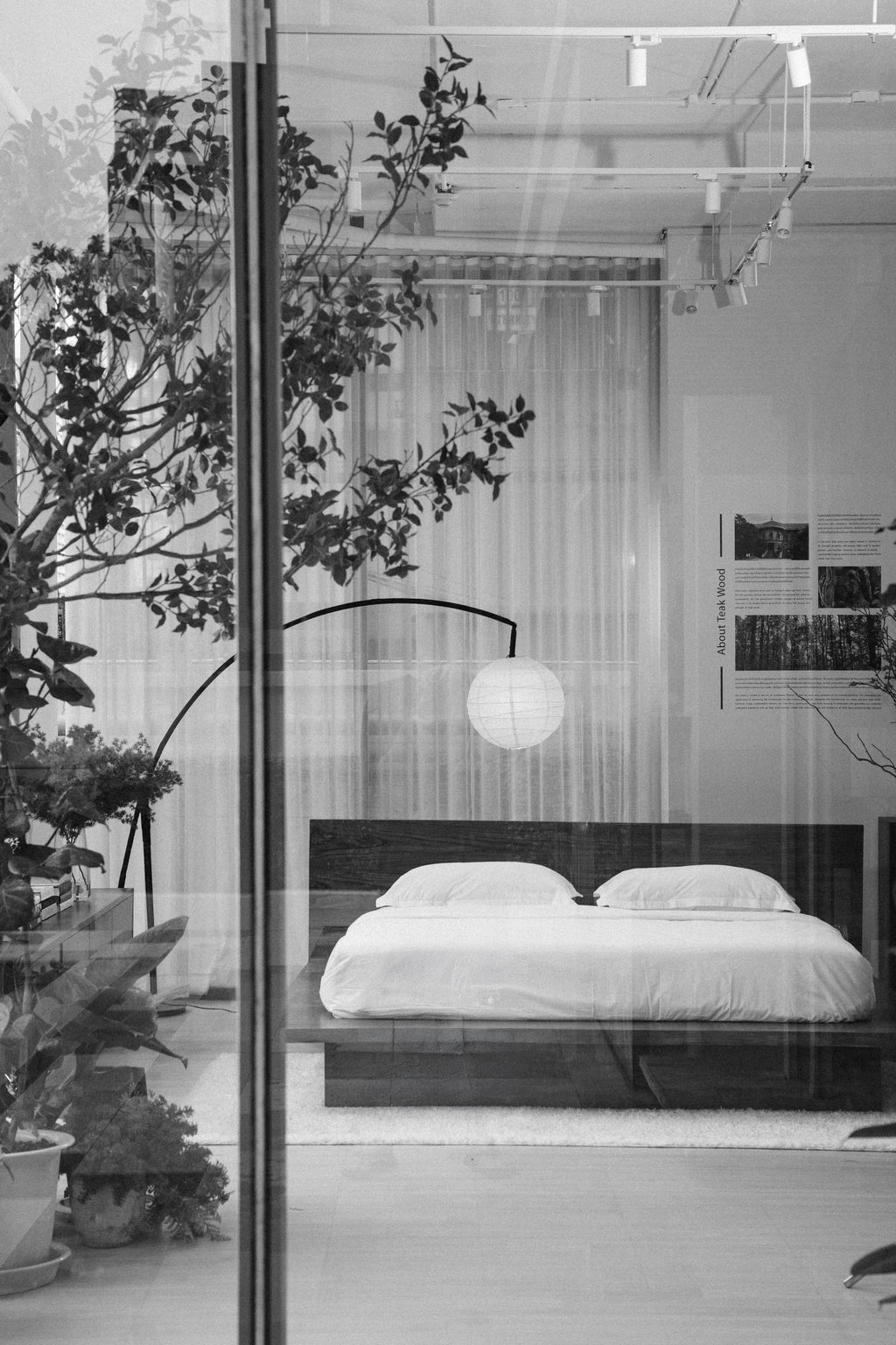 BED - SO EFL