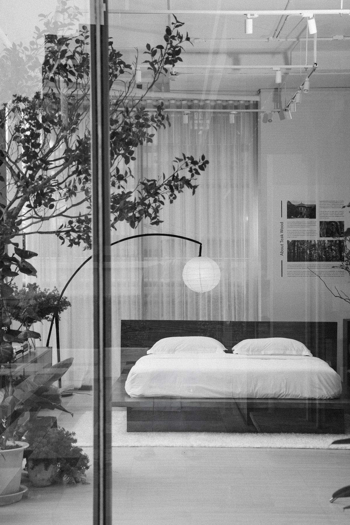 BED - SO EFL