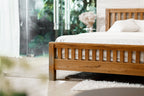 BED - SO 009