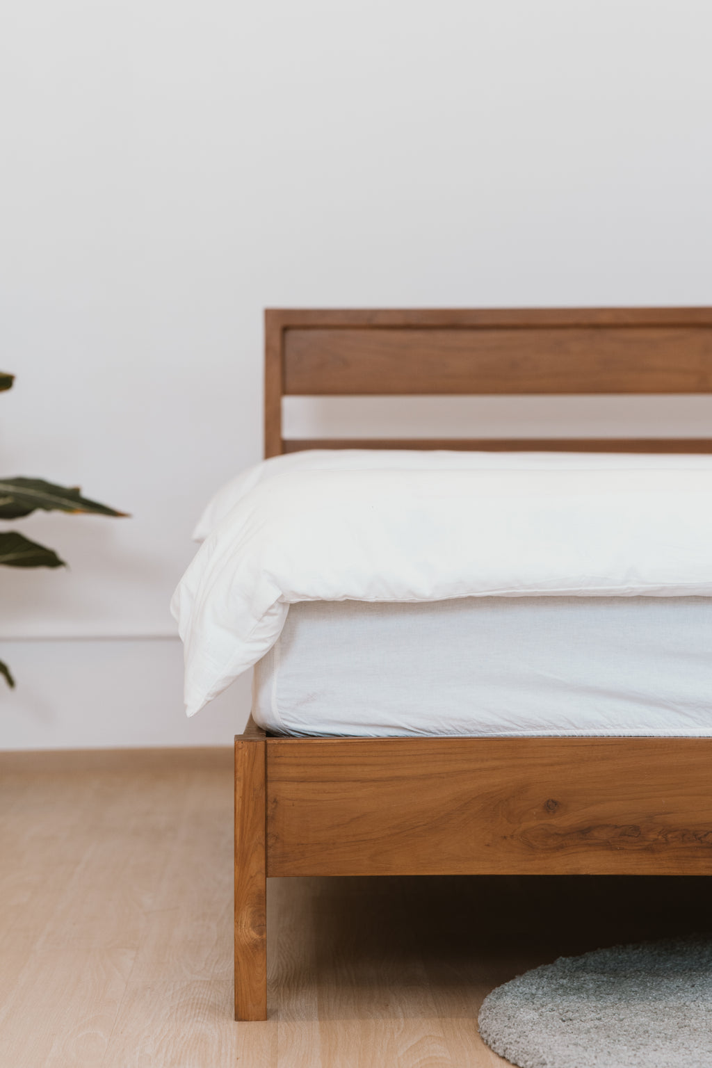 BED - SO 010