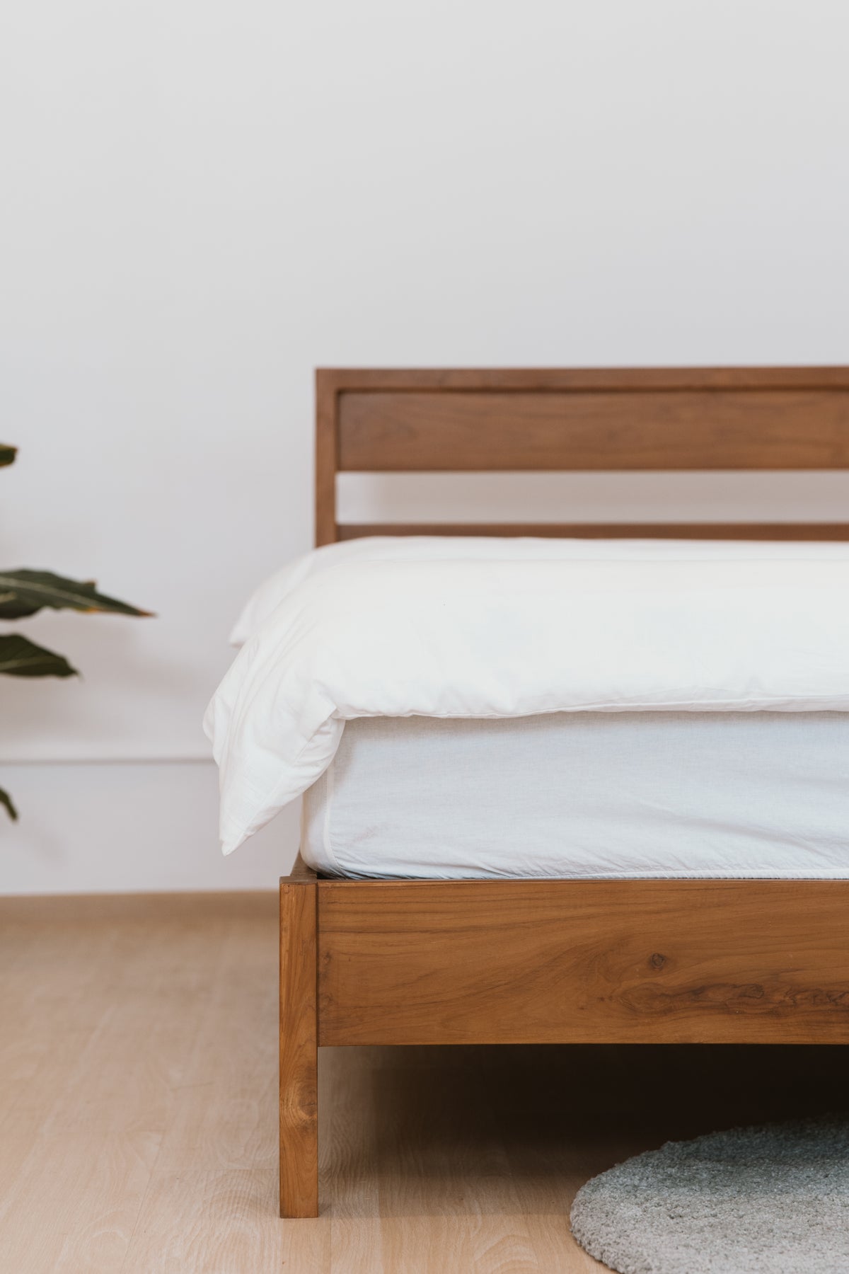 BED - SO 010