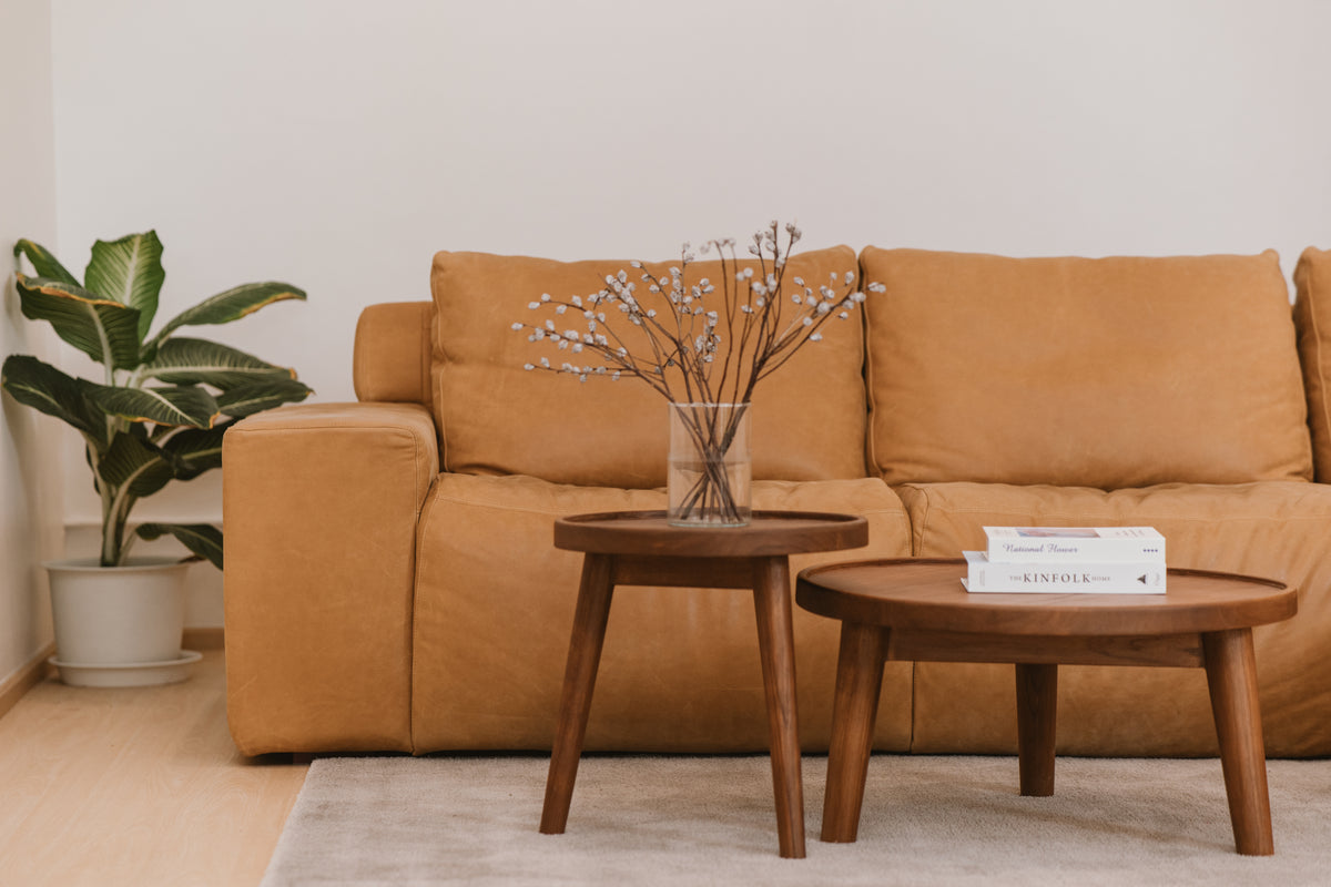 COFFEE TABLE - SO DUO